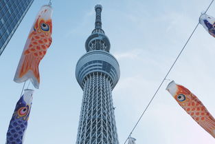 穿越欧洲的奇幻之旅，比利时与日本的文化交融与异域风情